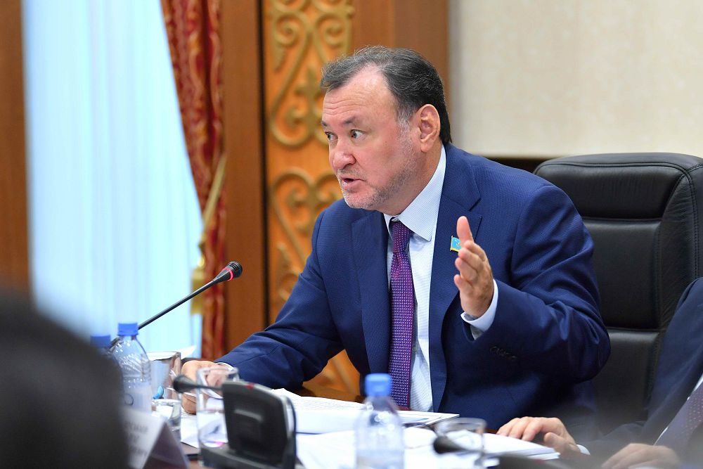 د.نازارباەۆا: ەلەكتر ەنەرگەتيكاسىن باسقارۋداعى قاتەلىكتەر ءار وتباسىنا شىعىن بولىپ وتىر