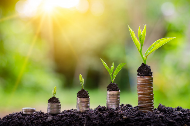 «جاسىل» جوبالارعا جول اشىق