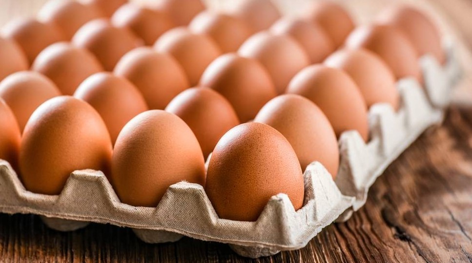 جۇمىرتقا نەگە قىمباتتايدى؟