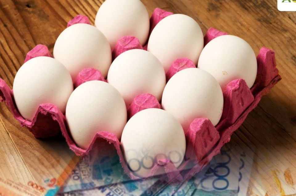 اشم جۇمىرتقا ءوندىرۋدى سۋبسيديالاۋعا بايلانىستى تۇسىنىكتەمە بەردى