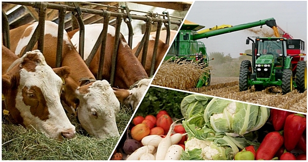 عابيت سىزدىقبەكوۆ سەربيا كووپەراتيۆتىك وداعىنىڭ پرەزيدەنتىمەن كەزدەستى