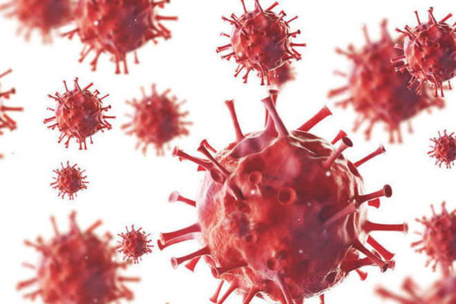 يتاليا بيلىگى كوروناۆيرۋسپەن كۇرەس شارالارىن ايقىندايتىن قاۋلى قابىلدادى