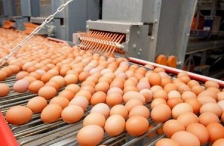 10 جىل سۋبسيديالانعان سالانىڭ جىرى