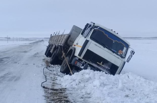 اۋىل تۇرعىنى قار قۇرساۋىندا قالعان جۇك كولىگىن شىعارۋعا كومەكتەستى