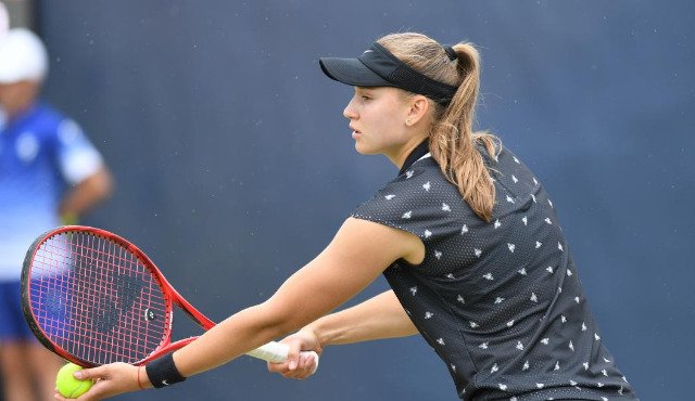 تەننيسشى ەلەنا رىباكينانىڭ تابىسى قانشا؟