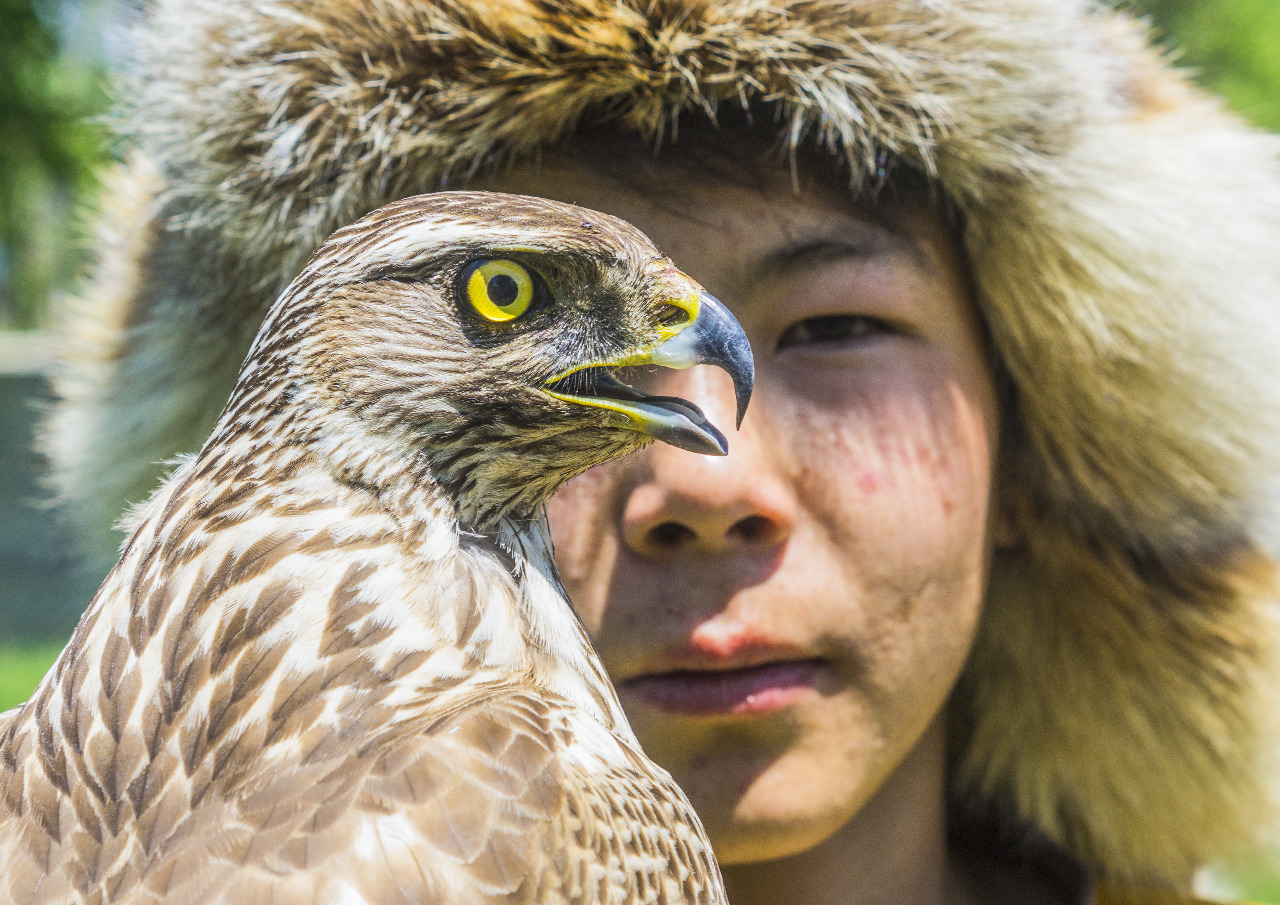 ورالدا مەيىربەك تاجقۇرانوۆتىڭ «مەكەنىم – قازاقستان» اتتى فوتوكورمەسى اشىلدى