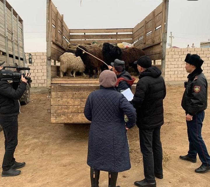 ماڭعىستاۋدا مال ۇرلاعاندار ۇستالدى