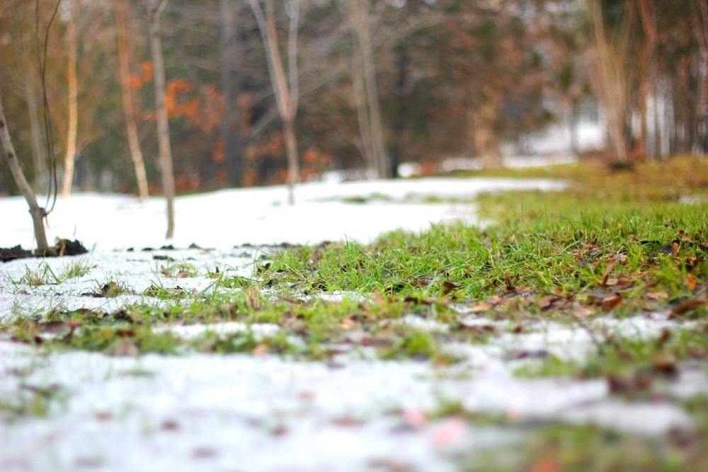 2 ناۋرىزدا قازاقستاننىڭ باسىم بولىگىندە كۇن اشىق بولادى