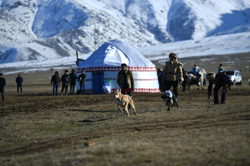 سالبۋرىن – مەرەكە عوي ساياتشىعا