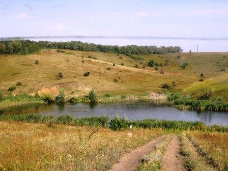 ايسارىداي ارۋ وتكەن دەسەدى