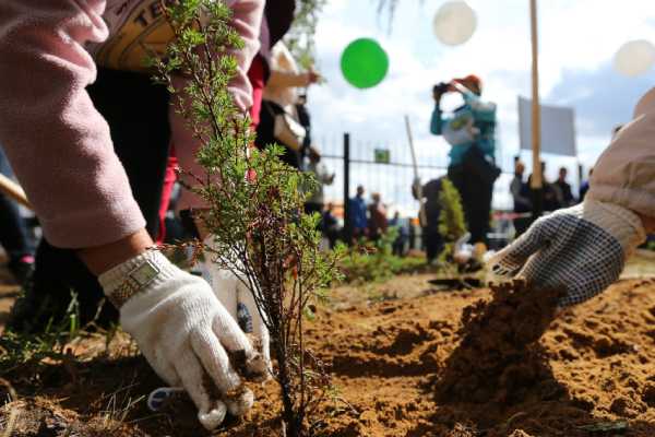 ەلدى مەكەندەردىڭ اۋماقتارىن سانيتارلىق تازالاۋ جۇمىستارى باستالادى