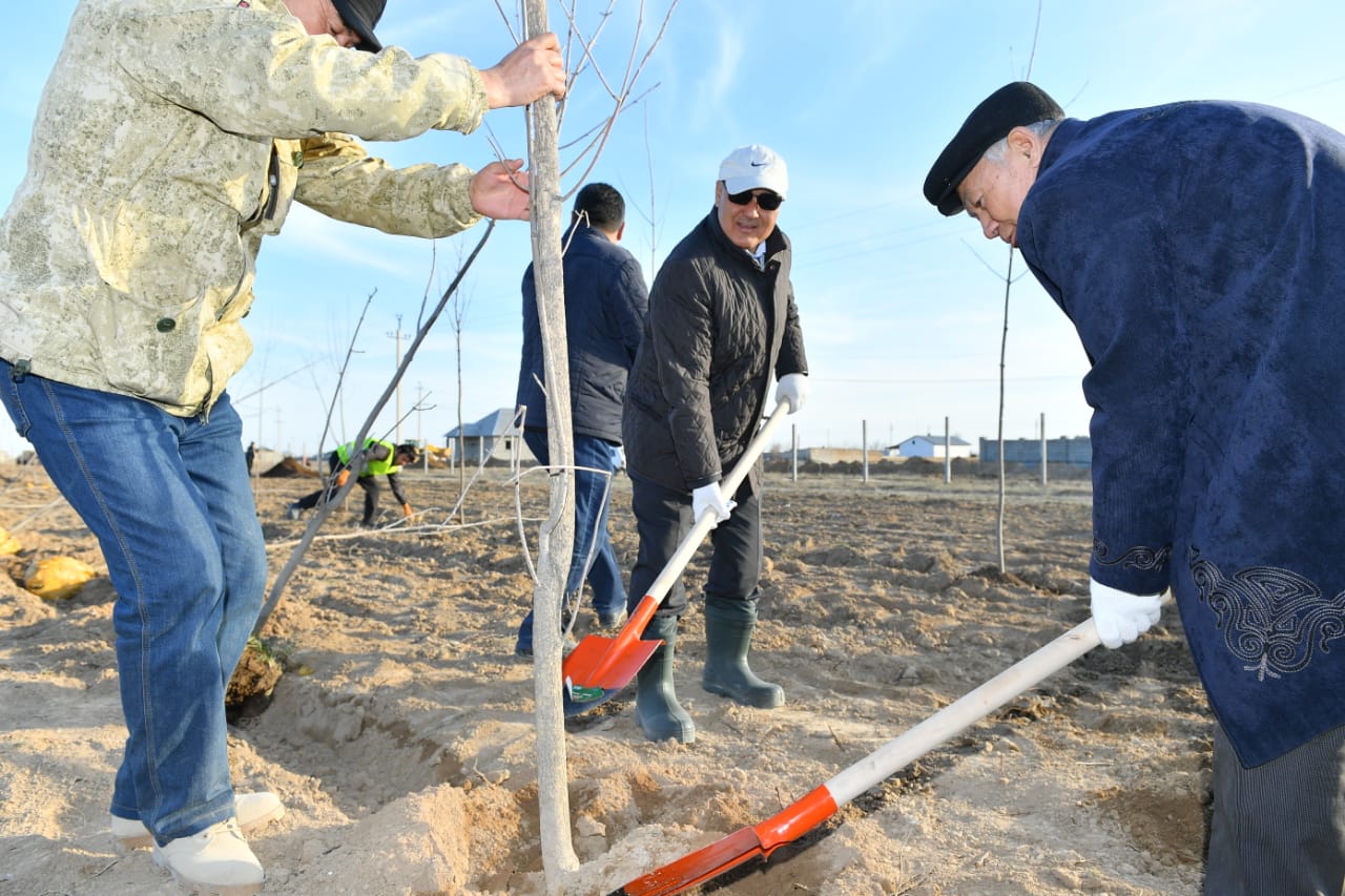 ومىرزاق شوكەەۆ: جاسىل بەلدەۋ تۇركىستاننىڭ تابيعي تىنىسىنا اينالادى