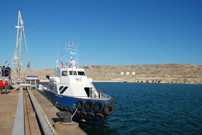 قۇرىق پورتى: وتكەن جىلعى الەۋەتى قانداي؟