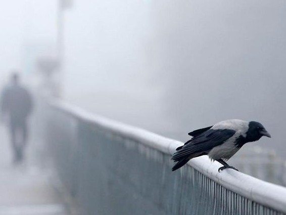 بۇرقاسىن, جەل, تۇمان: ءۇش وبلىستا ەسكەرتۋ جاريالاندى