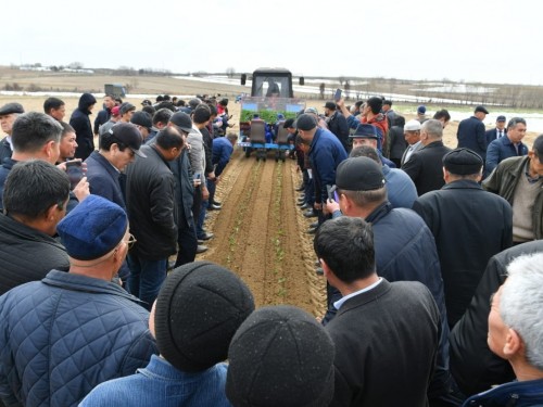 تۇركىستان وبلىسىندا 600-دەن استام شارۋا قوجالىعى بىرنەشە ءونىم الۋ تاسىلىنە دەن قويعان