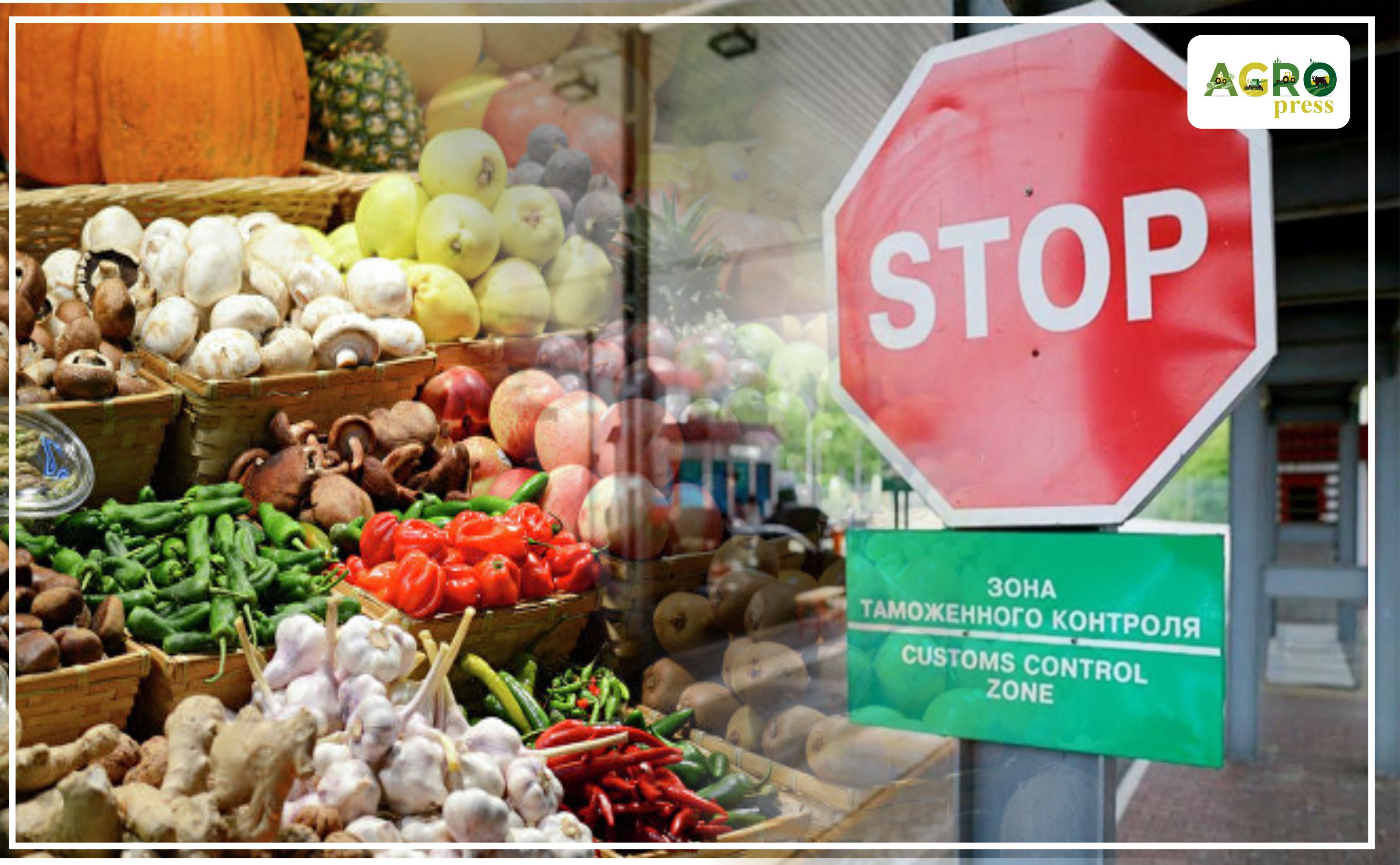 اشم: يراننان كەلگەن 425 تونناعا جۋىق جەمىسكە شەكتەۋ قويىلدى