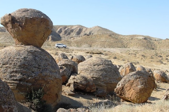 گيد-ەكسكۋرسوۆود دايىنداۋ ءۇشىن 30 مامان تىلدىك كۋرستان وتكىزىلەدى