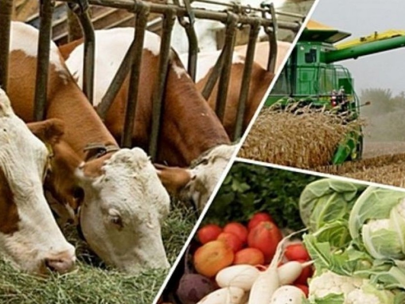 اگروونەركاسىپتىك ونىمدەر تاسىمالىنا شەكتەۋ قويىلمايدى - ساپارحان وماروۆ