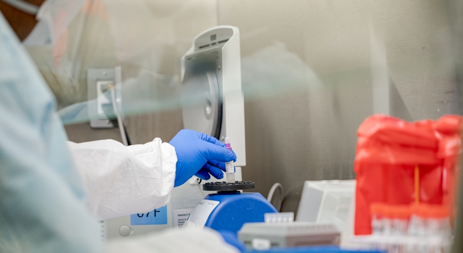 الماتىدا انىقتالعان ناۋقاستاردىڭ جاعدايى بىرقالىپتى