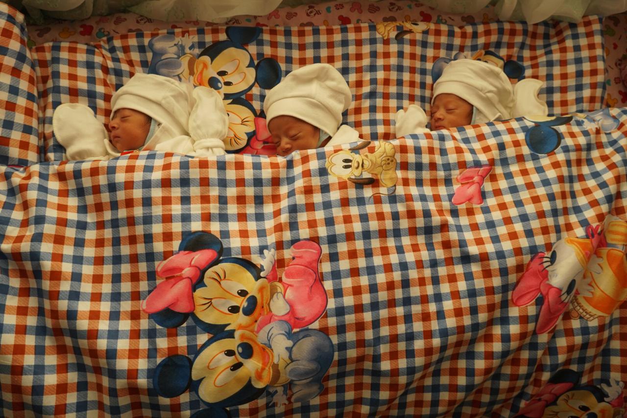 تۇركىستان: كەلەس اۋدانىندا ءۇشىنشى ۇشەم دۇنيەگە كەلدى