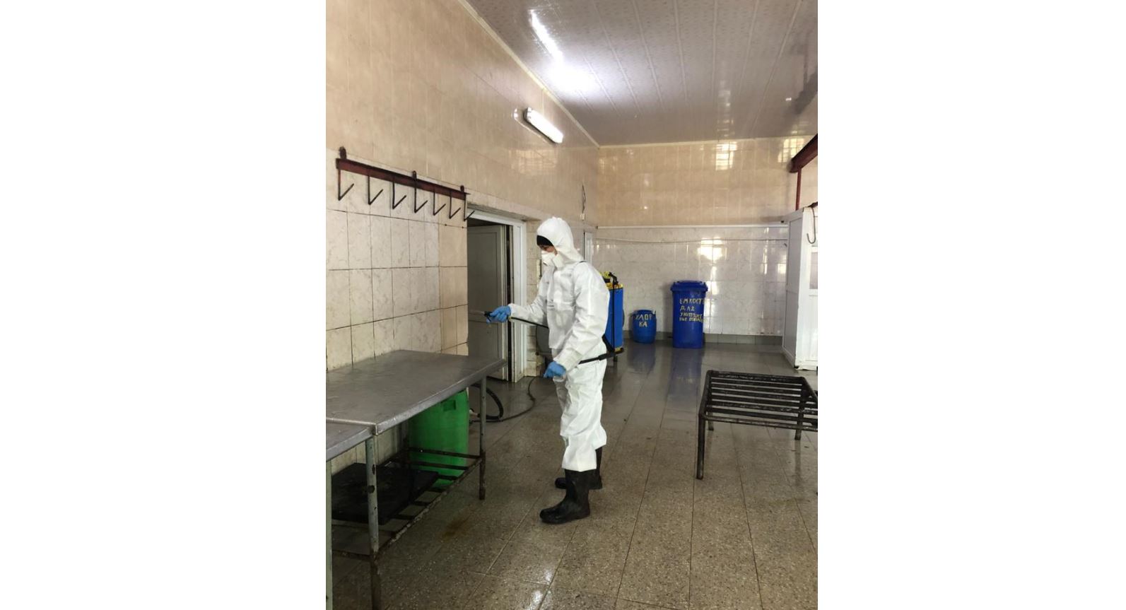 اقتاۋدا مال سويۋ پۋنكتتەرى كۇنىنە 2 رەت دەزينفەكتسيالانۋدا