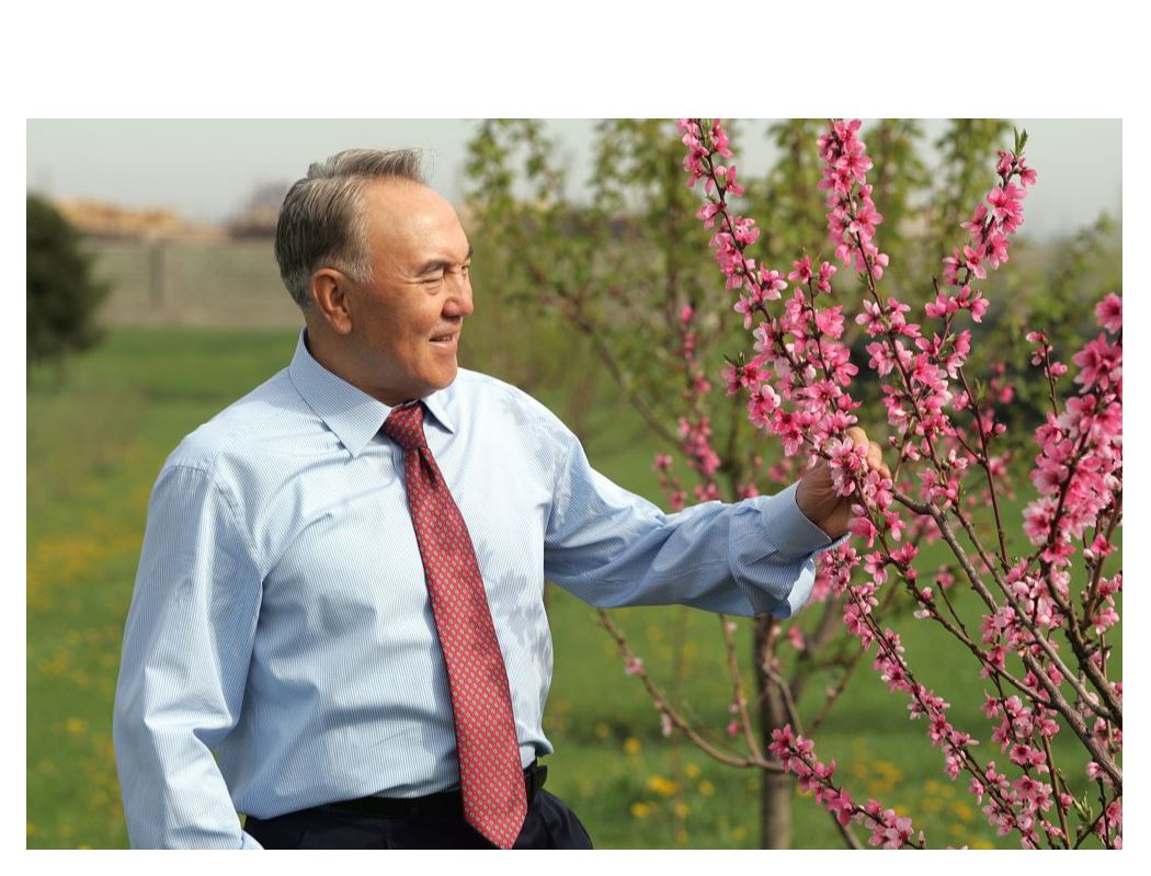 ەلىنىڭ باعىنا تۋعان ەرەن تۇلعا