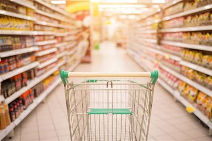 ەلوردادا قانت, كۇرىش سىندى تاۋارلار ءبىر ادامعا 5 كگ-عا دەيىن ساتىلادى - ەرلان بەكمىرزاەۆ