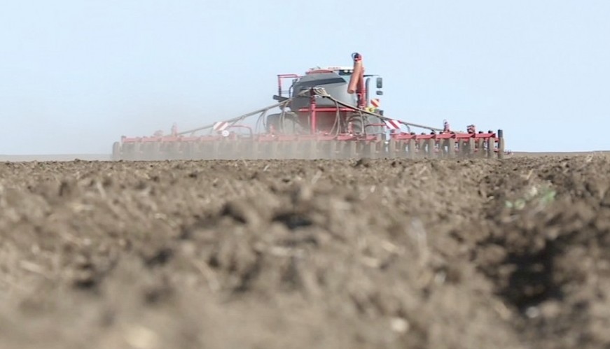 اقمولالىق ديقاندار دايىندىق ۇستىندە