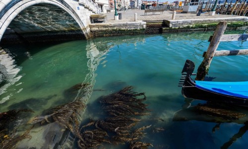 ۆەنەتسيادا تابيعات قايتا كوركەيدى