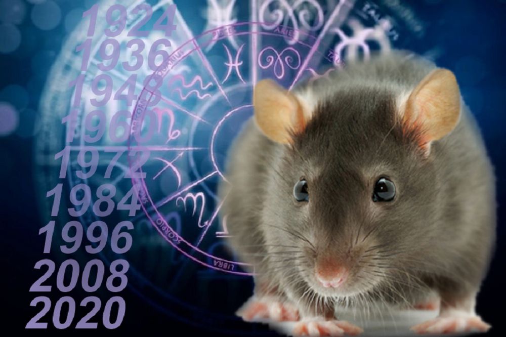 تىشقان جىلى جايلى تولعام