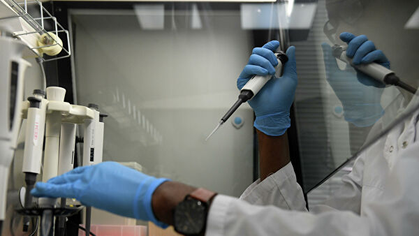 سيريادا كوروناۆيرۋس جۇقتىرعان العاشقى ناۋقاس تىركەلدى