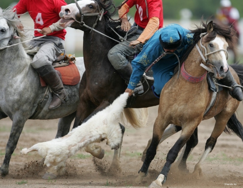 شامالعان اۋىلىندا توتەنشە جاعداي كەزىندە كوكپار ۇيىمداستىرعاندار جاۋاپقا تارتىلدى