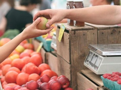 الماتى وبلىسى: ازىق-ت ۇلىك قورى جەتكىلىكتى بولعانىمەن باعانىڭ ءوسۋى بايقالدى