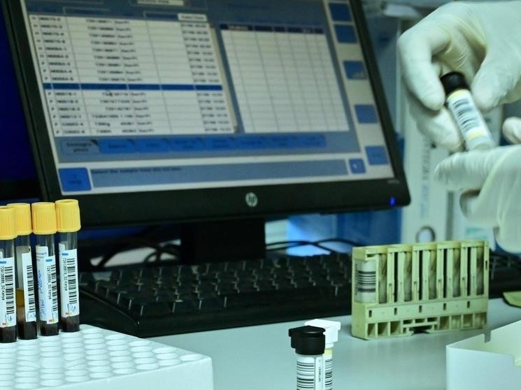 بارلىعى 79 ناۋقاس: قازاقستاندا تاعى 7 ادام ىندەت جۇقتىردى