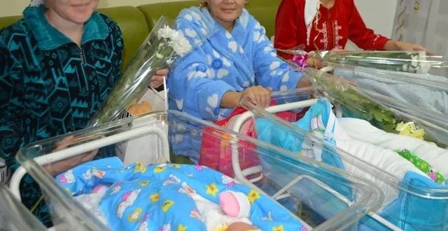 اقتاۋ: ناۋرىز مەرەكەسىندە ەكى ەگىز ومىرگە كەلدى