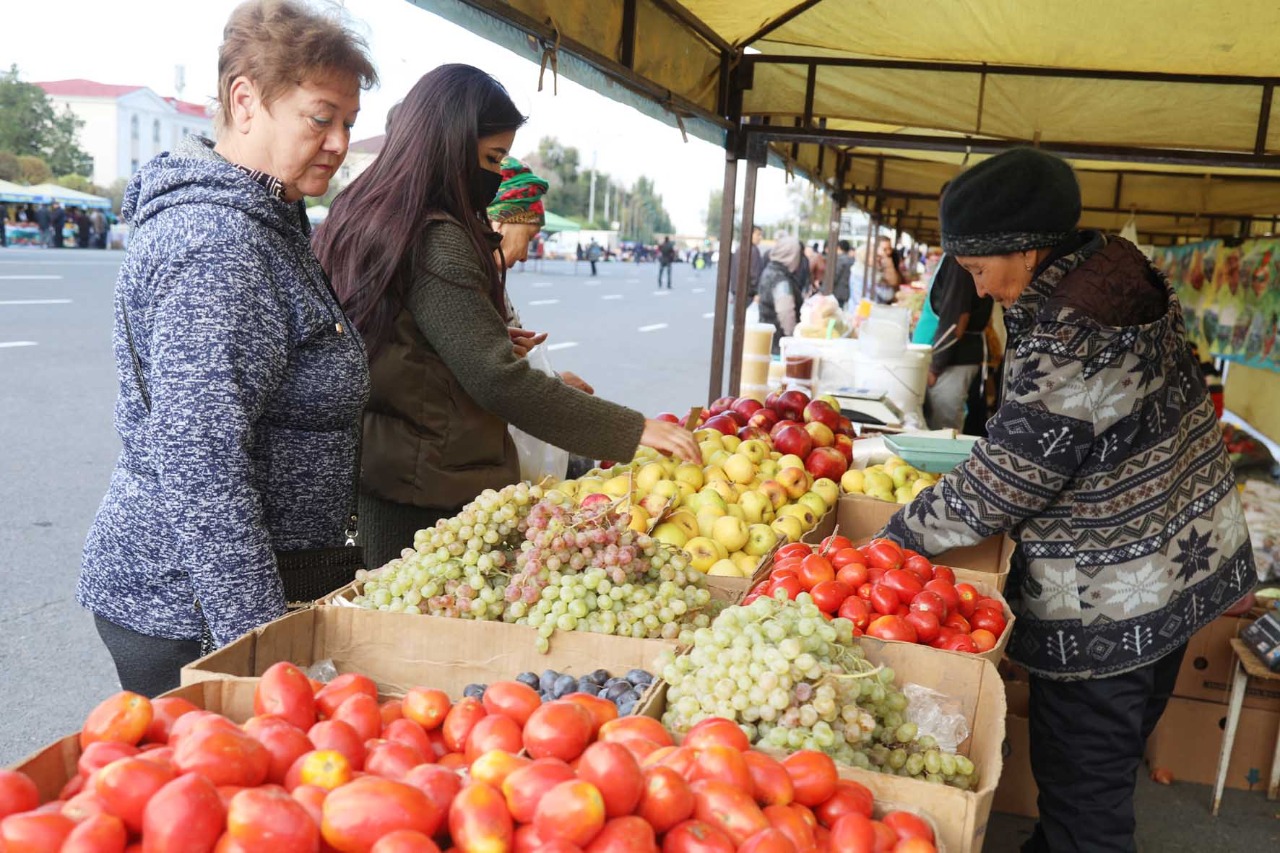 جامبىل وبلىسىندا 63 مىڭ توننا ازىق-ت ۇلىك قورى بار