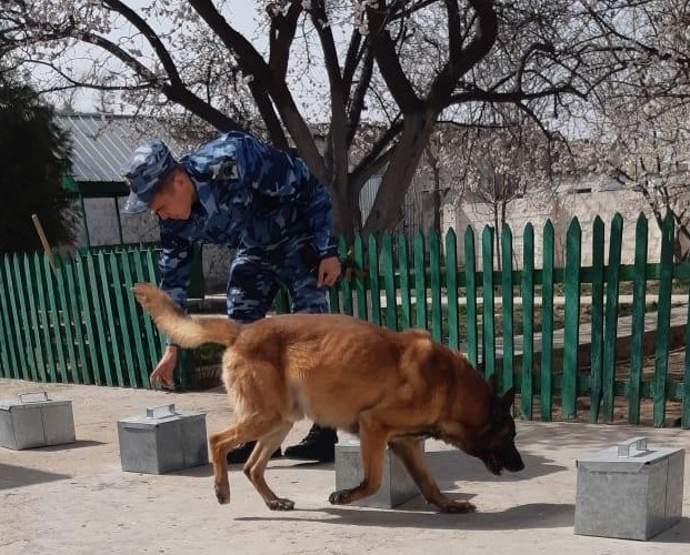 ماڭعىستاۋدا مەرەكە كۇندەرى 5 ەسىرتكى قىلمىسى تىركەلدى