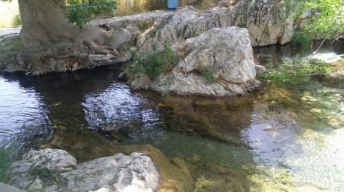 تامدى تۋرالى تولعام