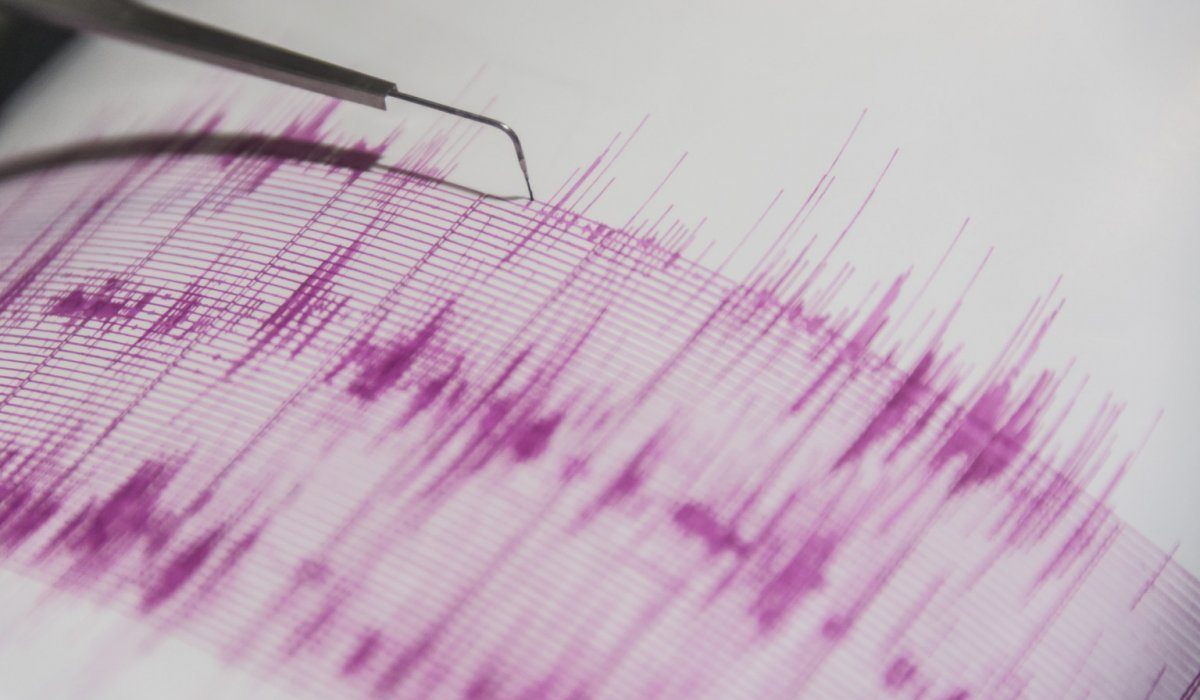 شىمكەنت پەن تاراز قالاسىندا 2 بالدىق جەر سىلكىنىسى بولدى