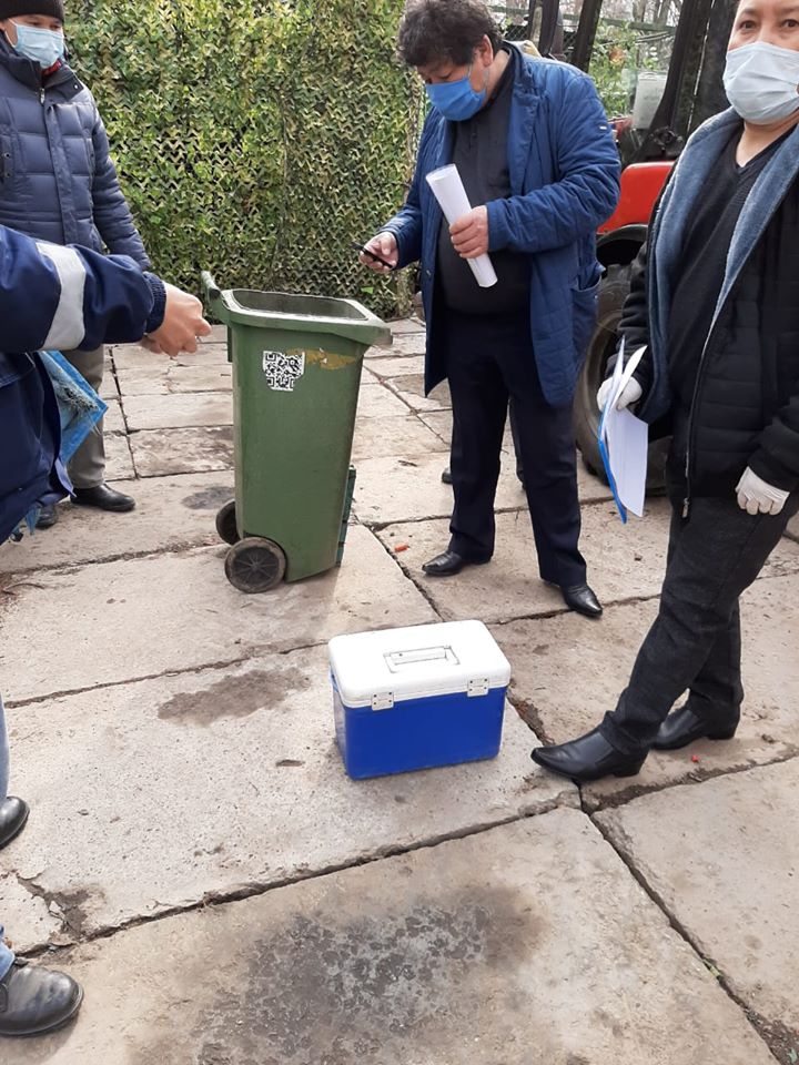 الماتى: كوگەرشىندەر نەدەن قىرىلۋى مۇمكىن؟