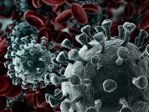 «قاراعاندىدا كارانتين جاريالاۋعا نەگىز جوق»