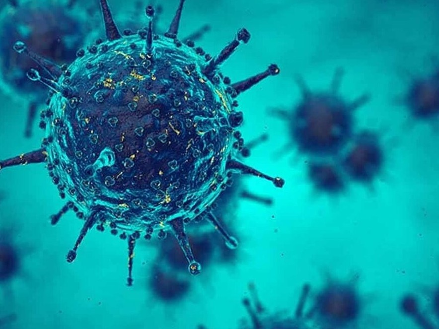 كوروناۆيرۋس قايدان پايدا بولعان؟