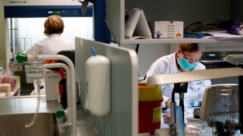 الەم جاڭا ءدارىنى جارىسا ىزدەۋدە