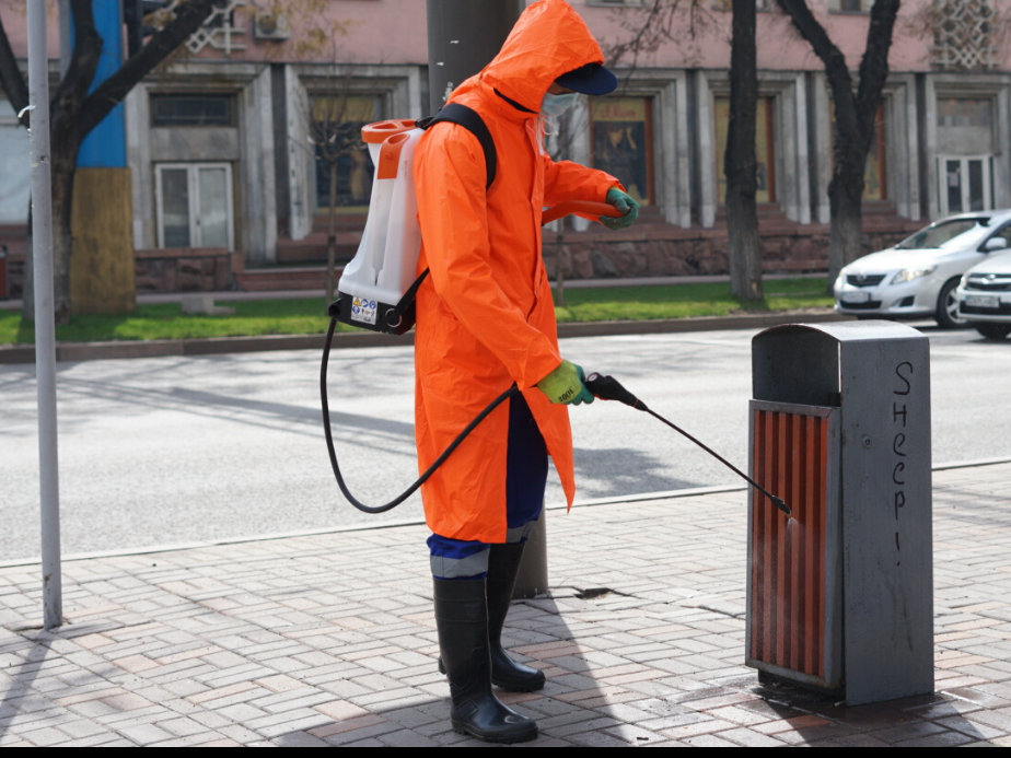 كوكشەتاۋدا قالا كوشەلەرى تازارتىلۋدا