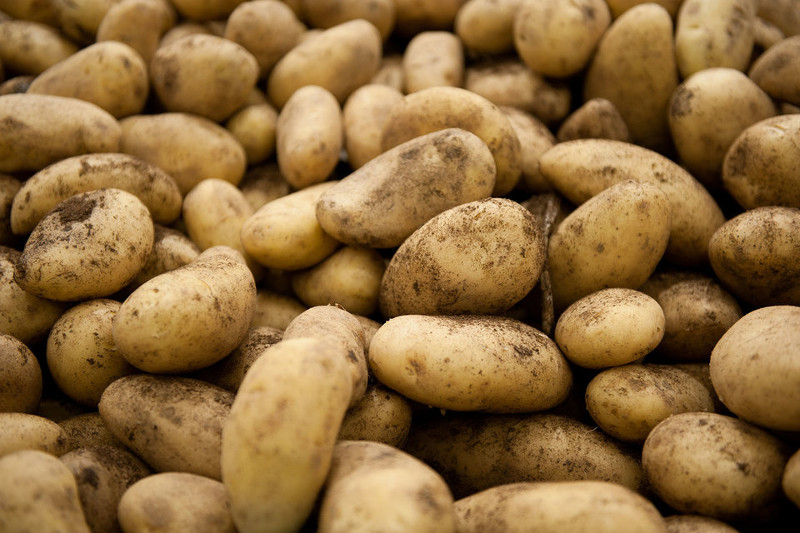 175 توننا ءونىم ەل اۋماعىنا كىرگىزىلمەدى