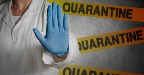 ماڭعىستاۋدا كولىك قاتىناستارىنا شەكتەۋ قويىلدى