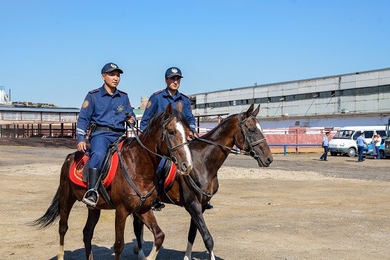 الماتىدا كارانتين كەزىندە اتتى پاترۋل قىزمەتى كۇشەيتىلدى