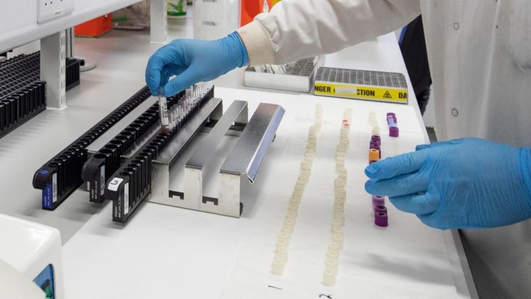 قىزىلوردا: ناۋقاسپەن قارىم-قاتىناستا بولعاندار انىقتالدى