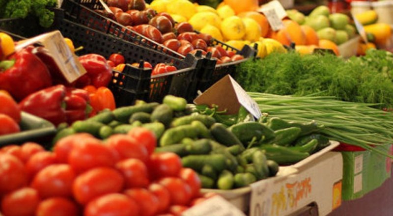 اقتاۋ حالقىن كوكونىس تۇرلەرىمەن  قامتۋ ءۇشىن  100 ملن تەڭگە بولىنگەن