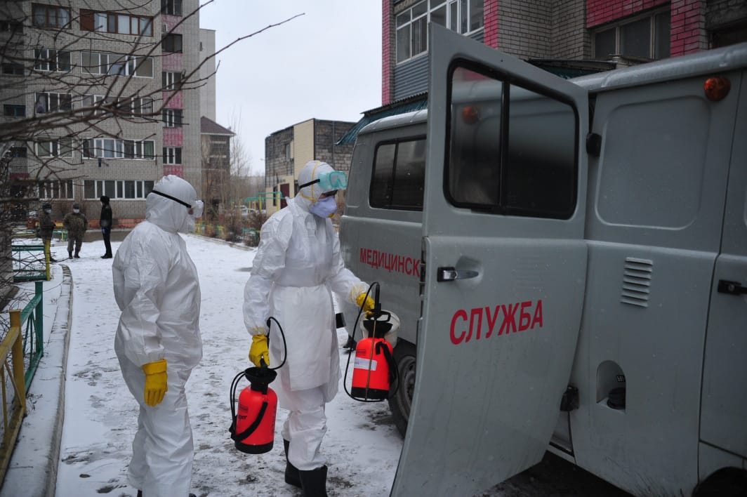 سەمەيدە ۆيرۋس جۇقتىرعانى انىقتالعان ناۋقاستار ەگيپەتتەن كەلگەن